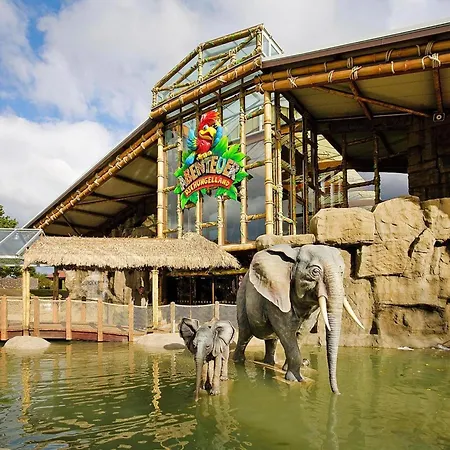 Apartmán Im Freizeitpark Weissenhaeuser *