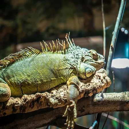 Im Freizeitpark Weissenhaeuser