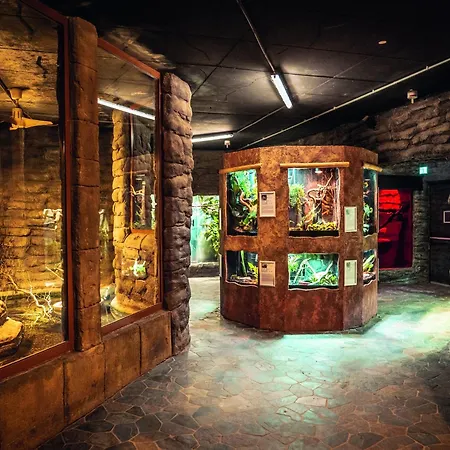 Im Freizeitpark Weissenhaeuser Apartmán Weissenhäuser Strand